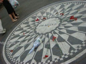 Strawberry field