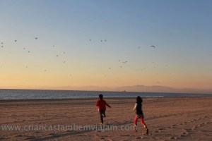 IMG_1542 - Versão 2